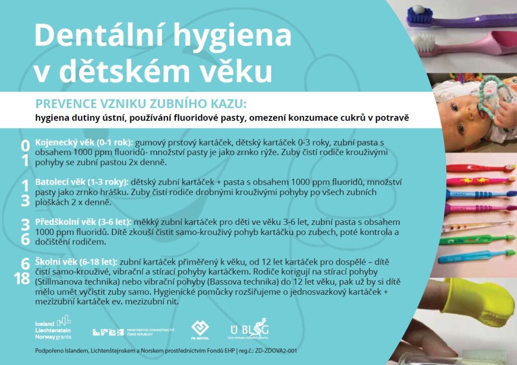 Dentální hygiena v dětském věku - leták obrázek