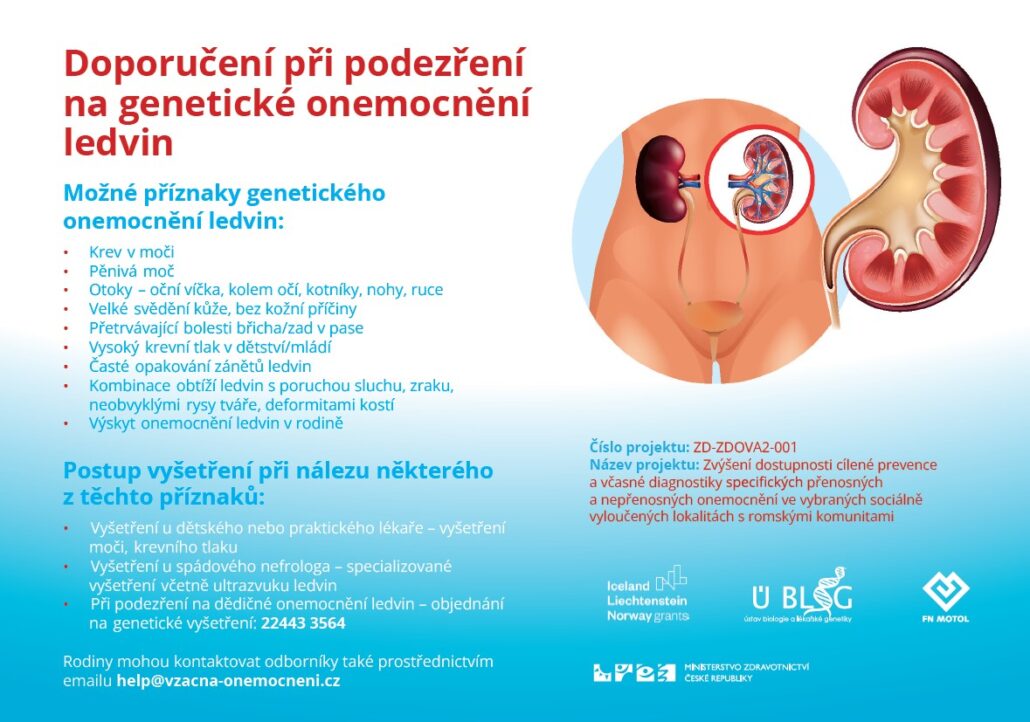 Doporučení při podezření na genetické onemocnění ledvin - leták obrázek